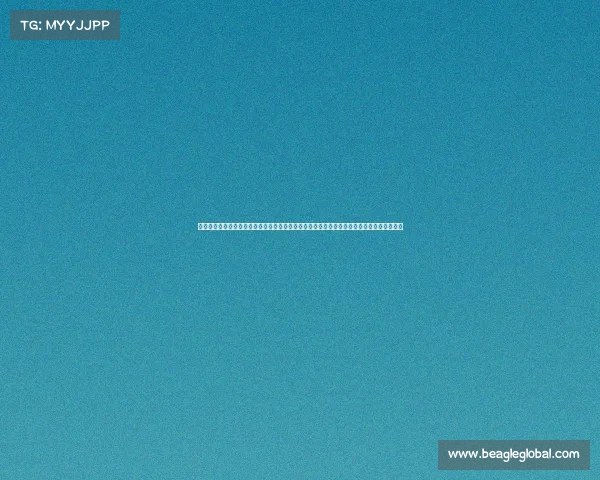 卖体育赛事门票的公司专业体育赛事门票销售平台提供便捷购票体验助您尽享精彩赛事每一刻