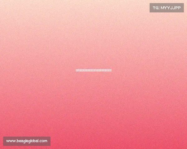 围棋赛事深度解析全球顶级比赛精华与文化内涵全览